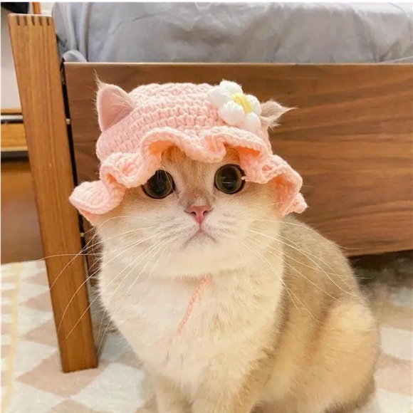 Crochet Knitted Pink Hat for Small Pets (Cat, Dog), Small - Picture 3 of 7